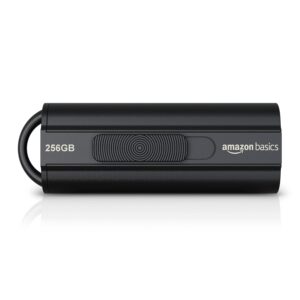 amazon basics 256GB Ultra Fast USB 3.1 Flash Drive